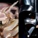 La cochinilla gigante que parece Darth Vader