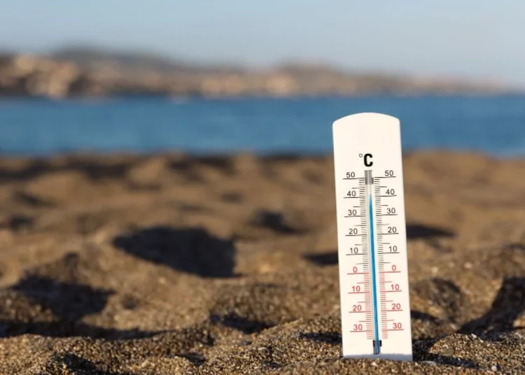La temperatura media del planeta subió más de 1,5ºC