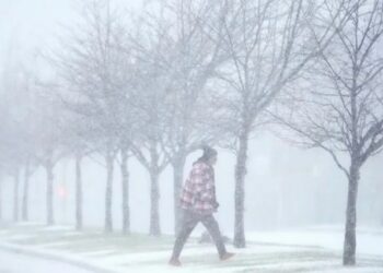 Fuerte tormenta invernal provoca retrasos de vuelos y cierre de escuelas en el sur de EEUU