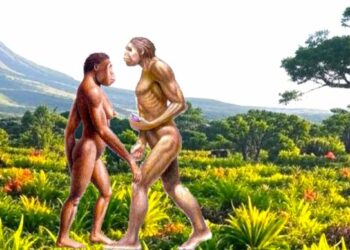 Estudio: ancestros humanos eran esencialmente vegetarianos