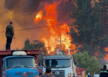 Incendios forestales arrasan miles de hectáreas en el sur argentino