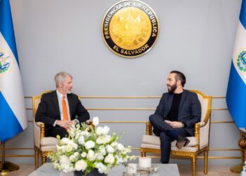 Nayib Bukele y Michael Saylor discuten sobre el futuro de Bitcoin en El Salvador