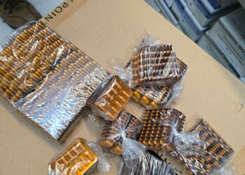 Autoridades desmantelan red de venta ilegal de medicinas falsificadas