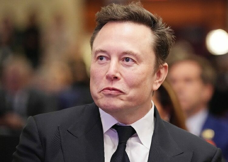 Un juez federal bloqueó a Elon Musk el control del sistema de pagos del Tesoro de EEUU tras la demanda de 19 fiscales generales