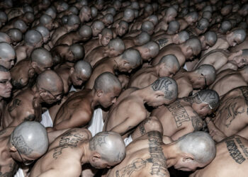 Mara Salvatrucha, Tren de Aragua, Clan del Golfo y otras organizaciones criminales son designadas «terroristas» por EE.UU.