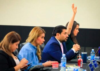 Claudia Ortiz se abstiene de votar contra la deuda política