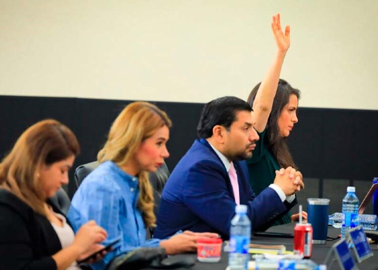 Claudia Ortiz se abstiene de votar contra la deuda política