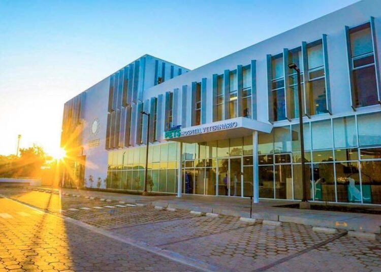Primer hospital nacional Veterinario de El Salvador cumple tres años de funcionamiento