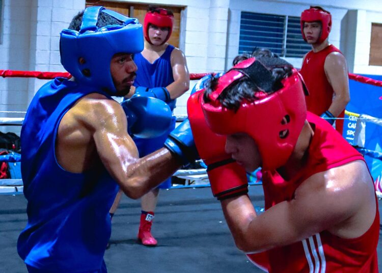 Fesalbox realiza su primera concentración de preselección nacional