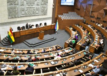 Diputados de Bolivia suspendieron la tramitación de contratos con Rusia y China sobre explotación de litio