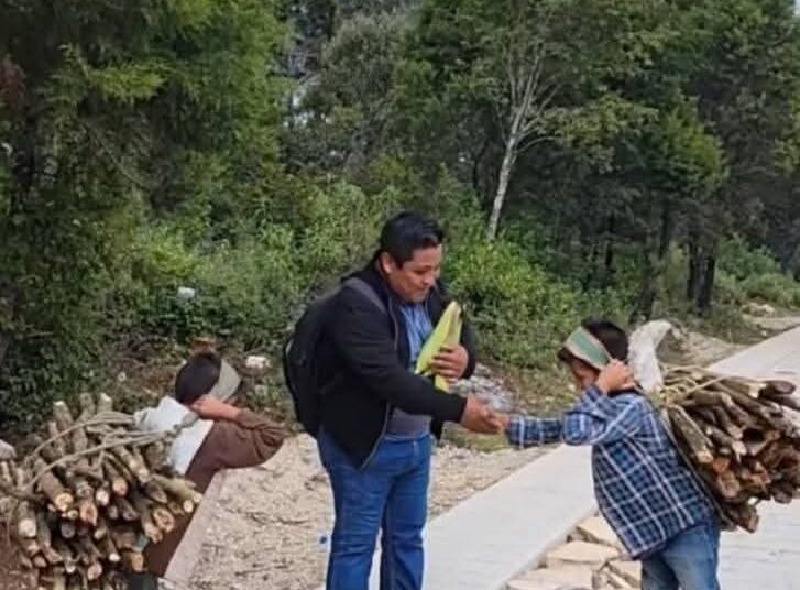 Niños llevan leña a su mamá antes de la escuela y regalan elotes a su maestro