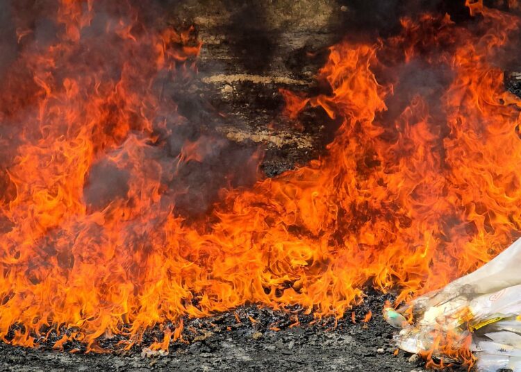 Destruyen cerca de $100 mil en drogas incautadas al narcotráfico