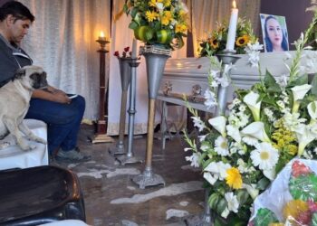 Perrita se niega a dejar el ataúd de su dueña tras trágico accidente de autobús en Guatemala