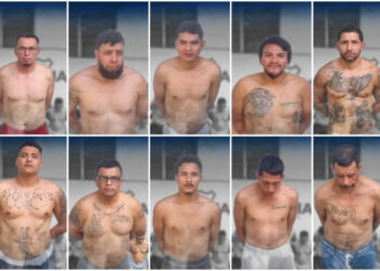 Capturan a 10 pandilleros de la MS-13 expulsados de EE.UU.