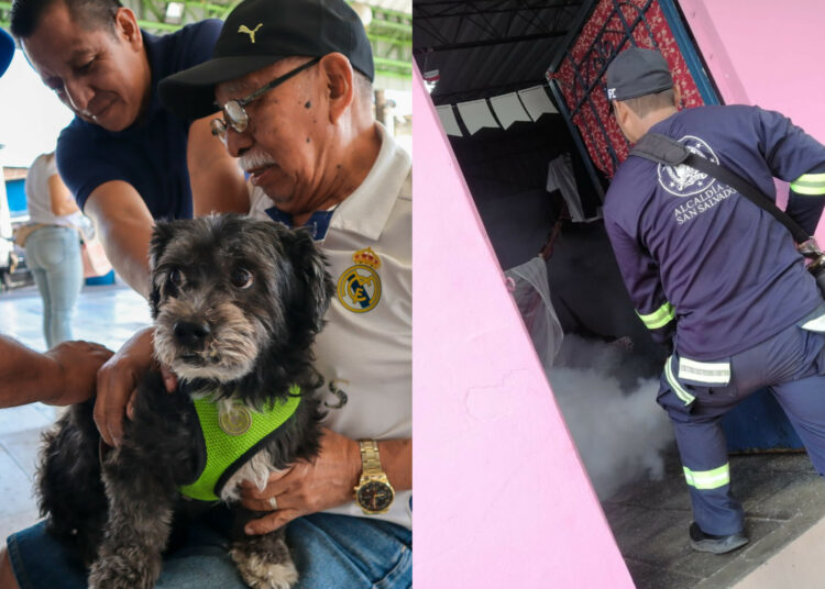 San Salvador Centro refuerza acciones de salud pública con jornadas de fumigación y vacunación
