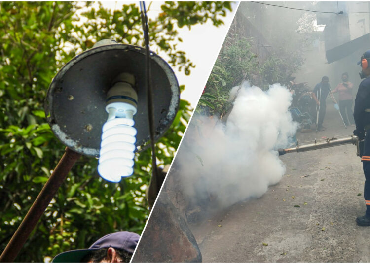 Proyecto municipal de iluminación pública y campaña de fumigación fueron llevados a distritos de San Salvador Centro