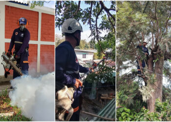 San Salvador Centro realiza jornada de fumigación y poda de árboles en diferentes distritos