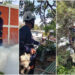 San Salvador Centro realiza jornada de fumigación y poda de árboles en diferentes distritos