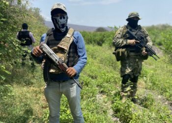 Trump publica decreto que incluye designación de Mara Salvatrucha, Tren de Aragua cárteles mexicanos como grupos terroristas