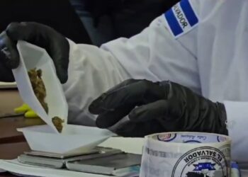 Fiscalía y PNC destruyen droga incautada en el oriente del país entre 2015 y 2024