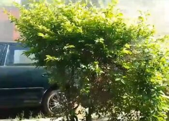 Reportan tiroteo en Santa Ana entre policías y personas que se conducían en un pick up