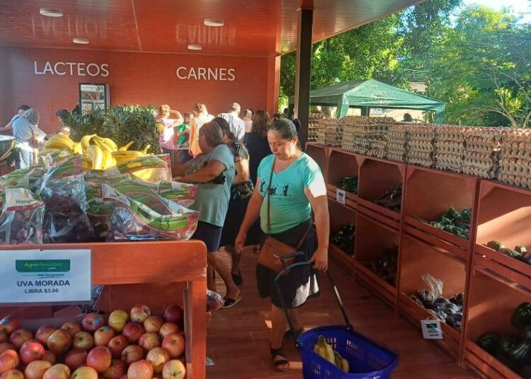 Usulután Este ya cuenta con nuevas instalaciones de la estrategia presidencial «Agro Mercado»