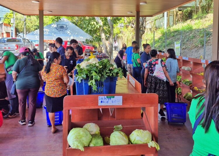 Estrategia de los Agro Mercados continúa llevando alivio económico a los salvadoreños