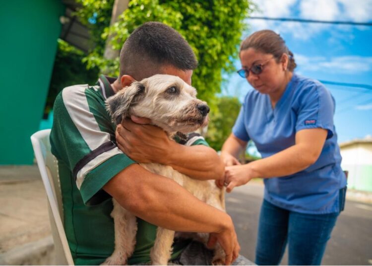 Realizan jornada de vacunación antirrábica y desparasitación en Ciudad Delgado