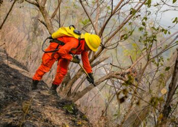 Bomberos combaten incendio en el Volcán de San Salvador