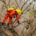 Bomberos combaten incendio en el Volcán de San Salvador