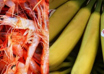 Presidente de Ecuador anuncia aranceles contra México de un 27% mientras no firmen un tratado de libre comercio