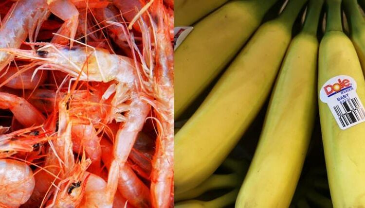 Presidente de Ecuador anuncia aranceles contra México de un 27% mientras no firmen un tratado de libre comercio