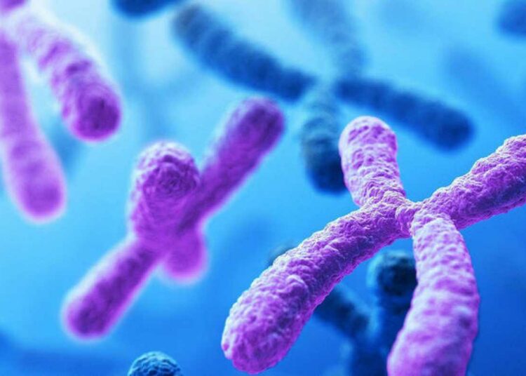 Científicos logran eliminar en un laboratorio el cromosoma extra que causa el síndrome de Down