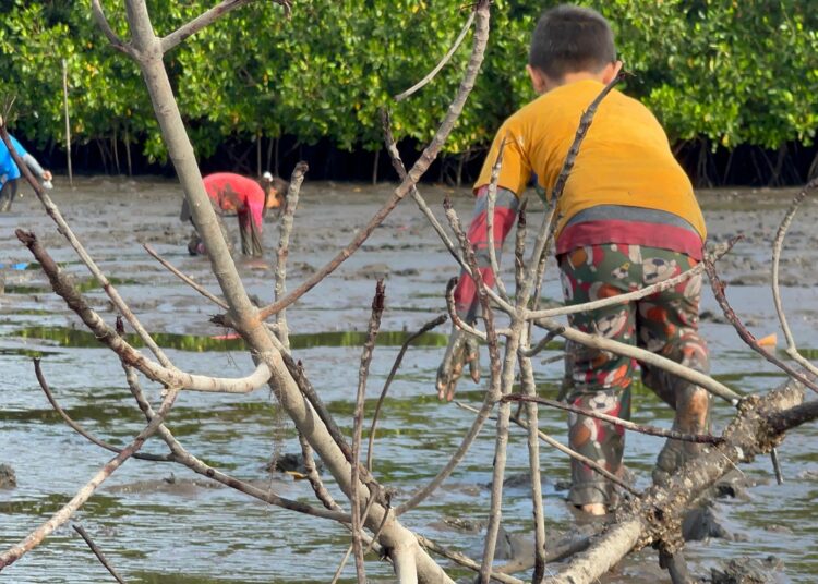 Programa de Migración Laboral enviará contingente de «curileros» salvadoreños a Canadá, en la lucha para erradicar el trabajo infantil en los manglares