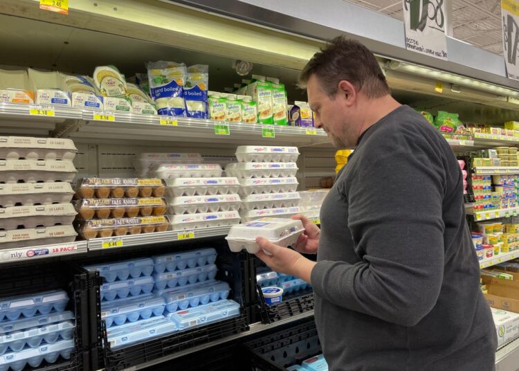 Precio de los huevos en EEUU se disparan ante brote de gripe aviar