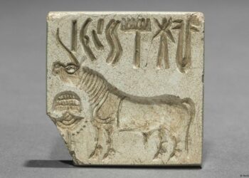 India ofrece USD 1 millón a quien descifre esta escritura