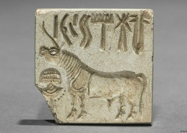 India ofrece USD 1 millón a quien descifre esta escritura