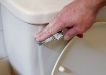 Estudio: al tirar de la cadena respiras gérmenes invisibles