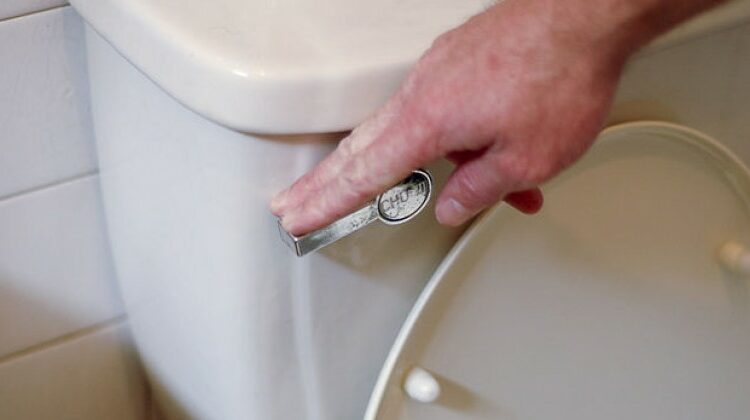 Estudio: al tirar de la cadena respiras gérmenes invisibles