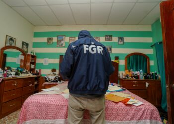 Desarticulan red de trata de personas en Santa Tecla quienes tenían un mono capuchino en cautiverio