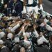 Philadelphia Eagles logró una histórica victoria por 40-22 ante Kansas City Chiefs y se llevó el Super Bowl LIX