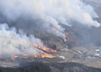Miles huyen de los incendios forestales en el norte de Japón
