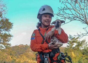 Con sistema de cuerdas, logran salvar a mascota que cayó a un pozo