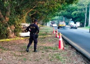 Conductor fallece tras colisionar con árbol