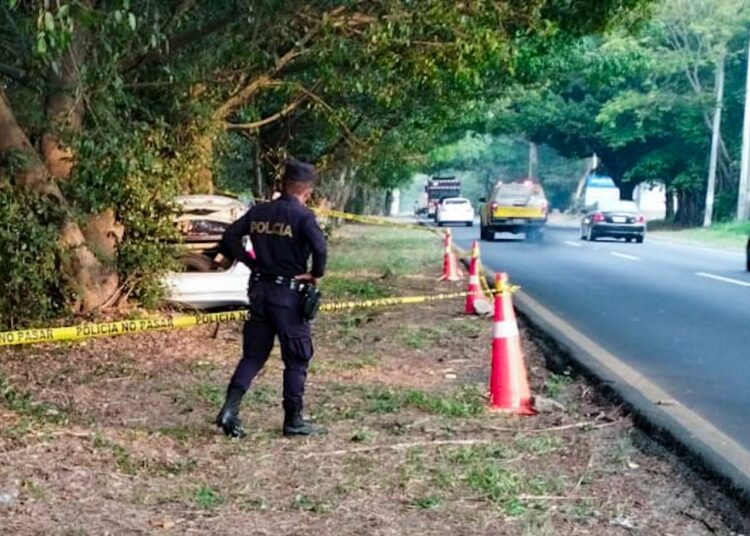 Conductor fallece tras colisionar con árbol