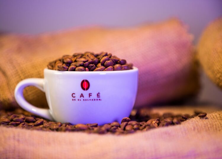 Pacamara: la joya del café salvadoreño que conquista el mundo