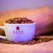 Pacamara: la joya del café salvadoreño que conquista el mundo