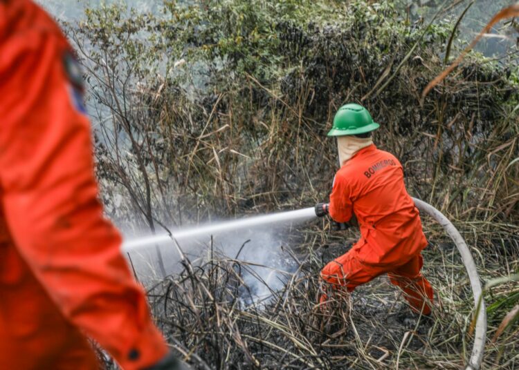 Bomberos sofocan incendio de maleza cerca de viviendas en Quezaltepeque