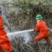 Bomberos sofocan incendio de maleza cerca de viviendas en Quezaltepeque