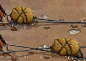 Hallan pruebas de vehículos de hace decenas de miles de años